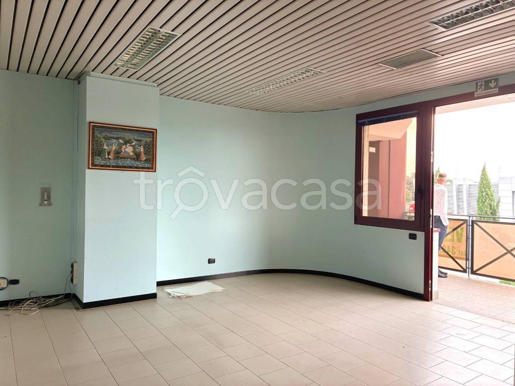 immagine annuncio 2 di 7