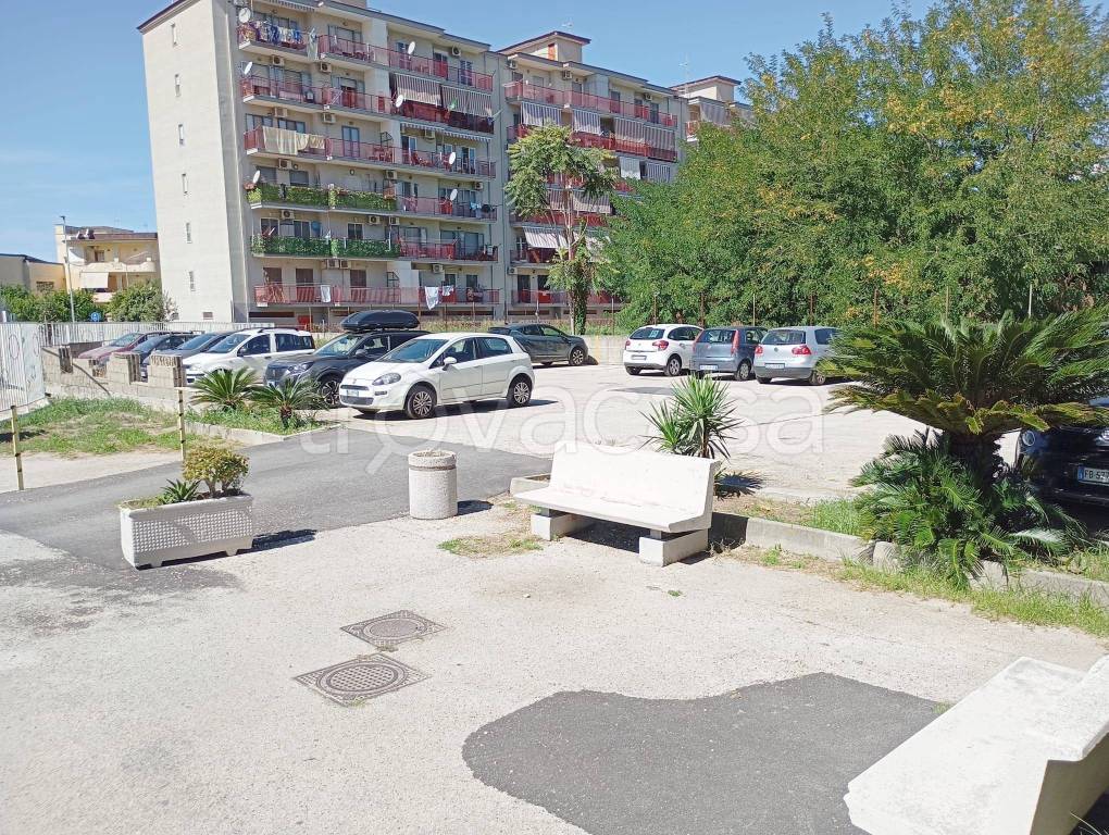 immagine annuncio 8 di 11