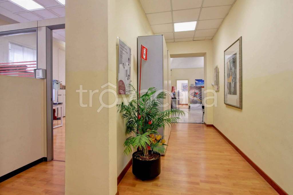immagine annuncio 6 di 12