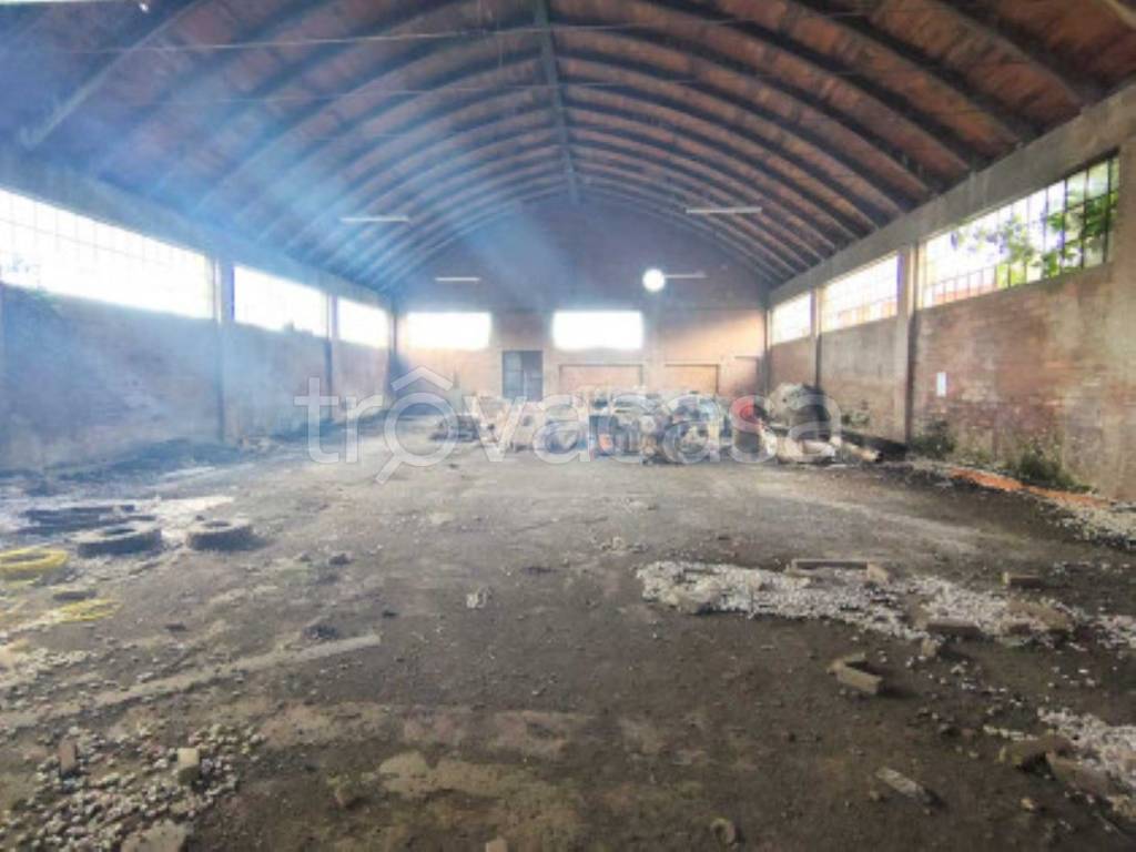 immagine annuncio 5 di 12