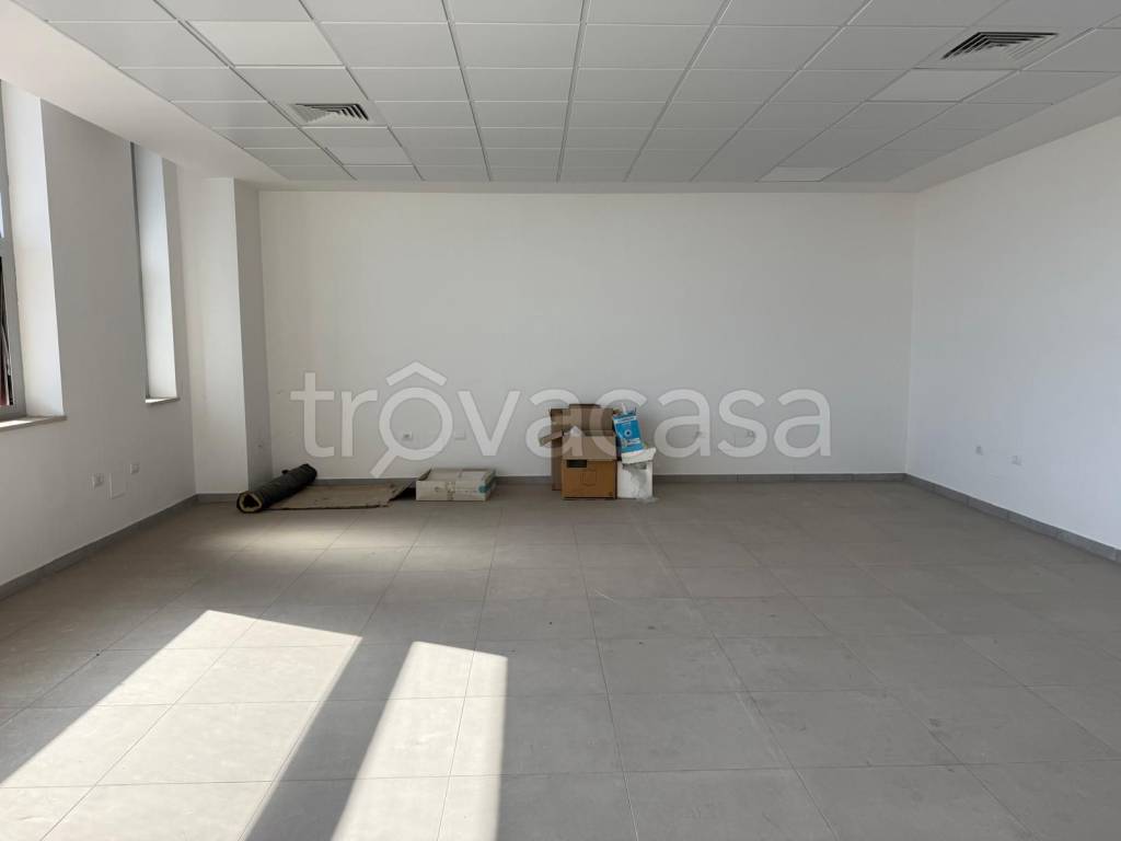 immagine annuncio 3 di 7