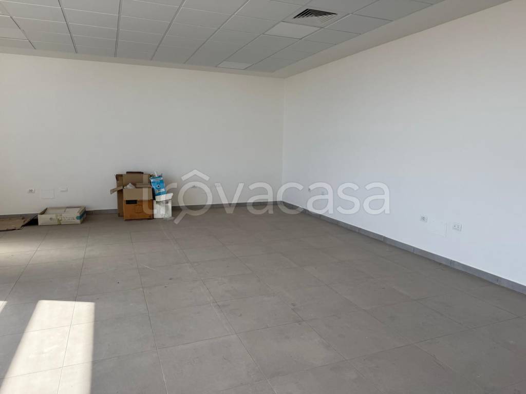 immagine annuncio 2 di 7