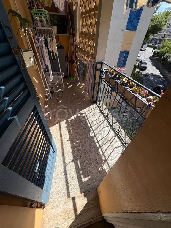 immagine annuncio 4 di 14