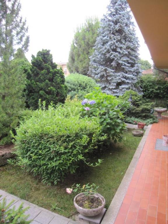 immagine annuncio 3 di 13
