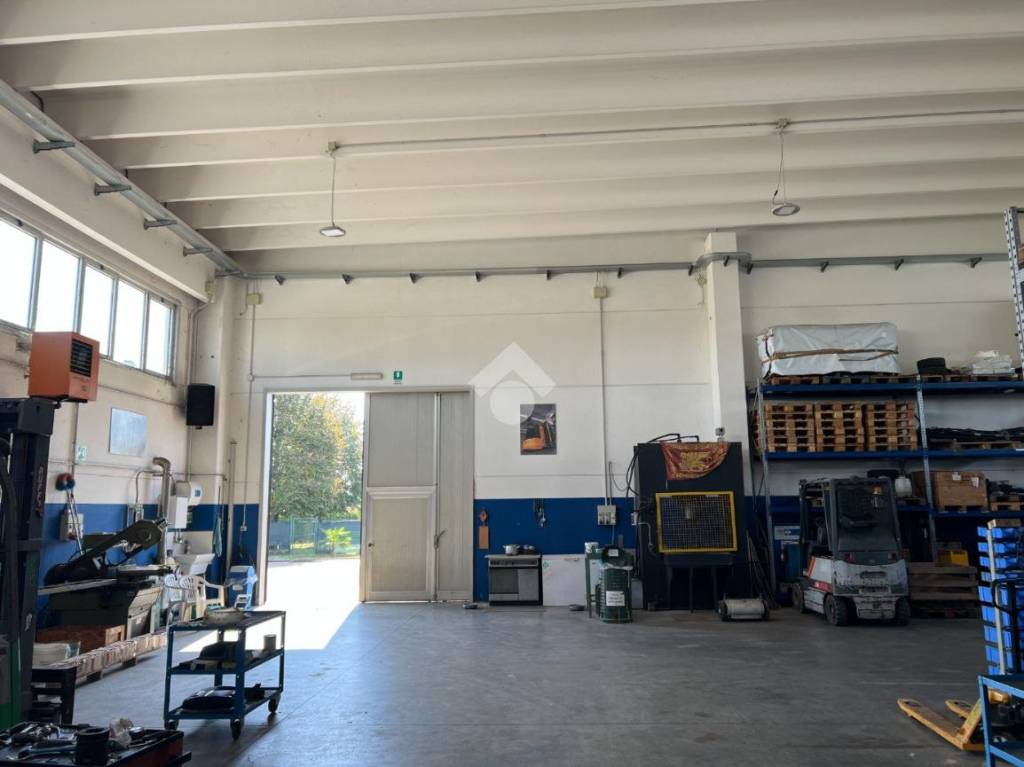 immagine annuncio 10 di 15