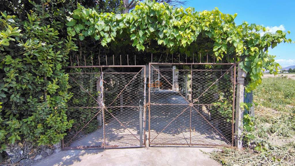 immagine annuncio 11 di 14