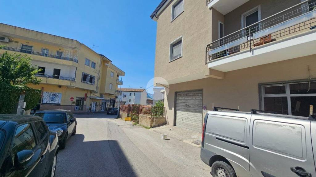 immagine annuncio 12 di 13