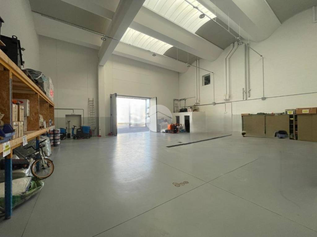 immagine annuncio 12 di 15