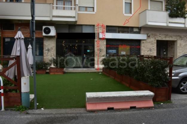 immagine annuncio 9 di 11