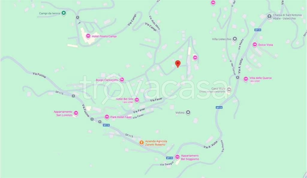 immagine annuncio 5 di 15