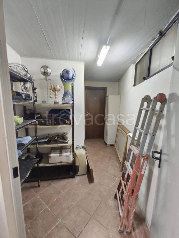 immagine annuncio 7 di 14