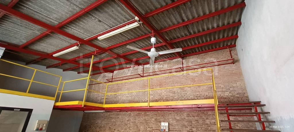 immagine annuncio 1 di 11