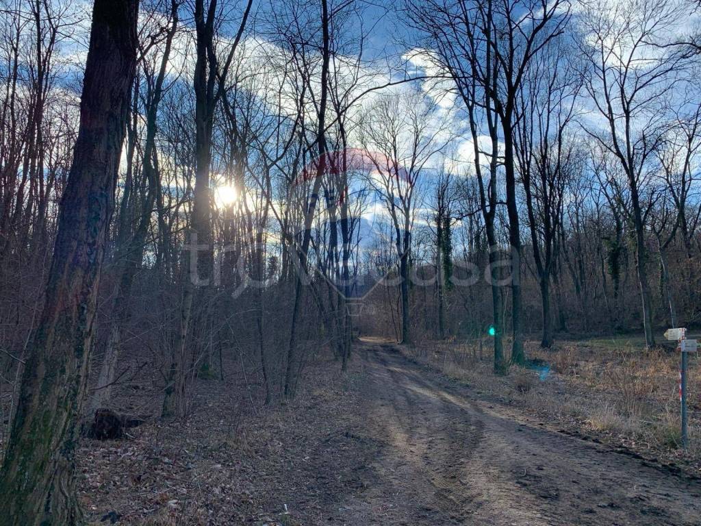 immagine annuncio 7 di 13