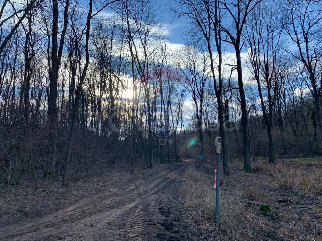 immagine annuncio 8 di 13