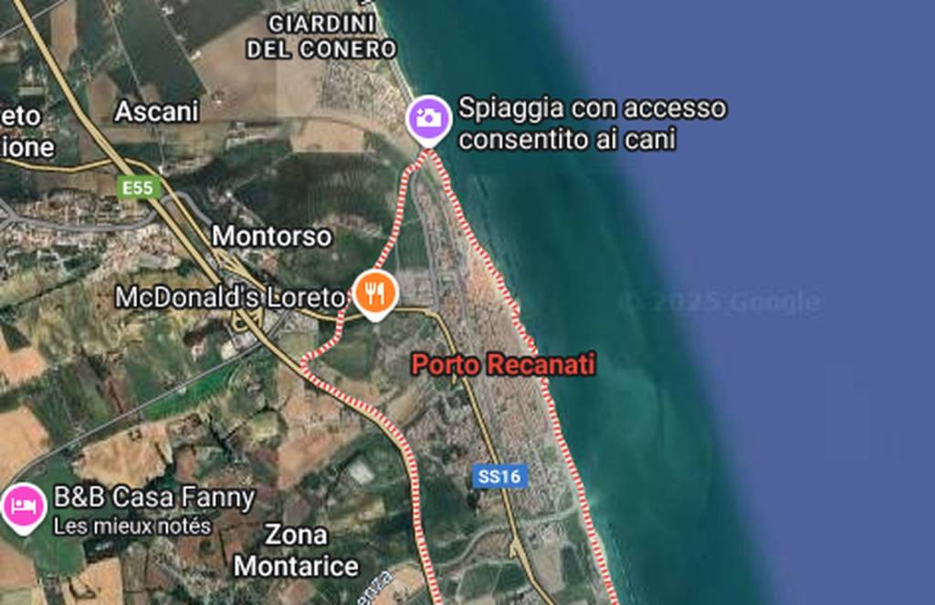 immagine annuncio 1 di 7
