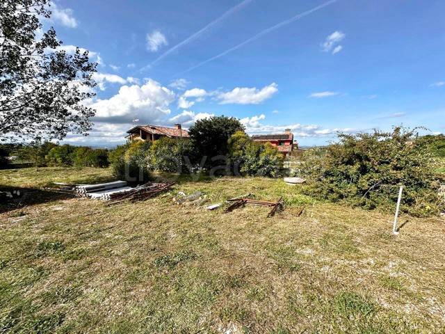 immagine annuncio 6 di 8