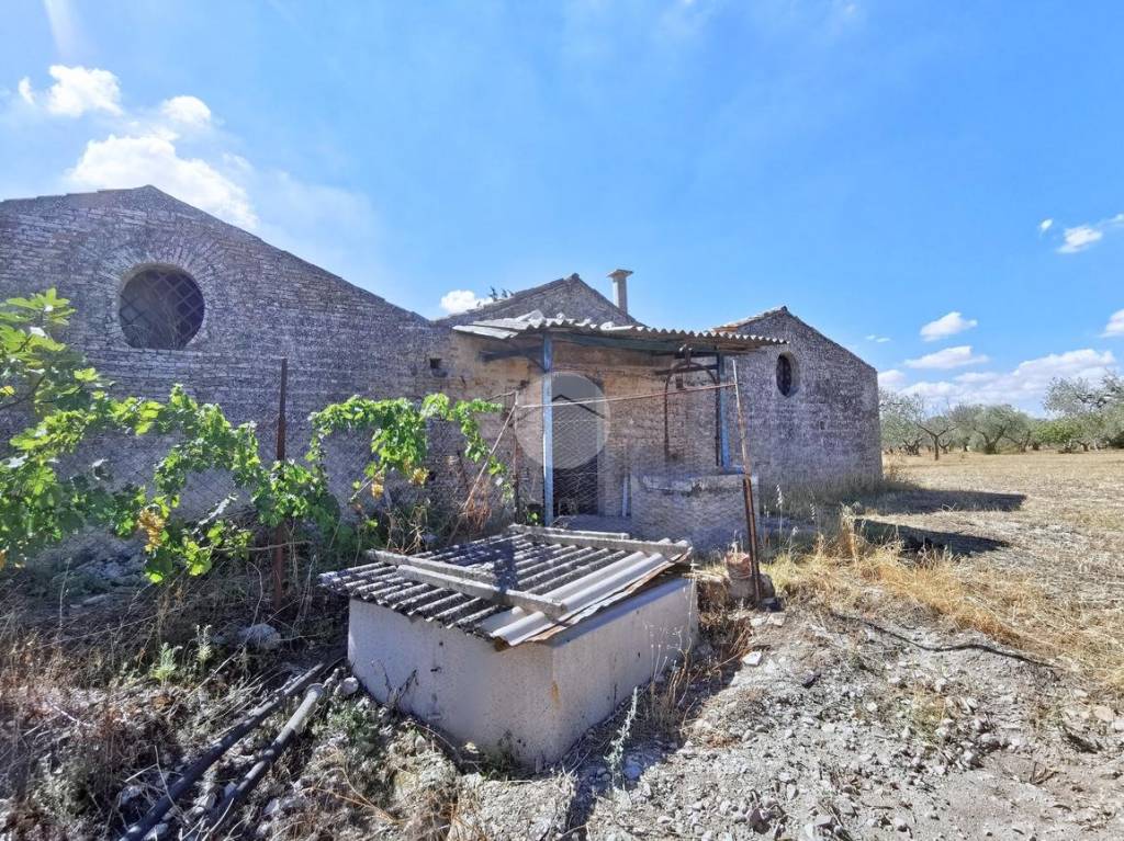 immagine annuncio 3 di 10