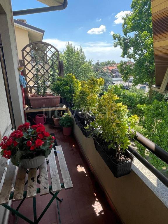 immagine annuncio 13 di 15