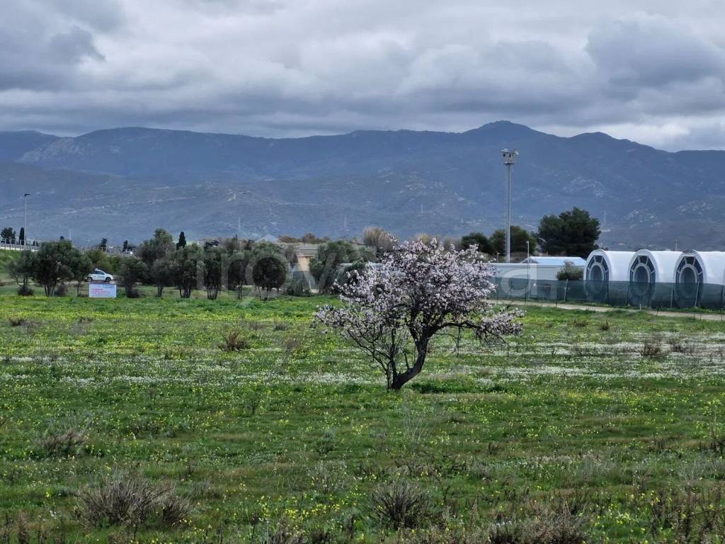 immagine annuncio 2 di 6