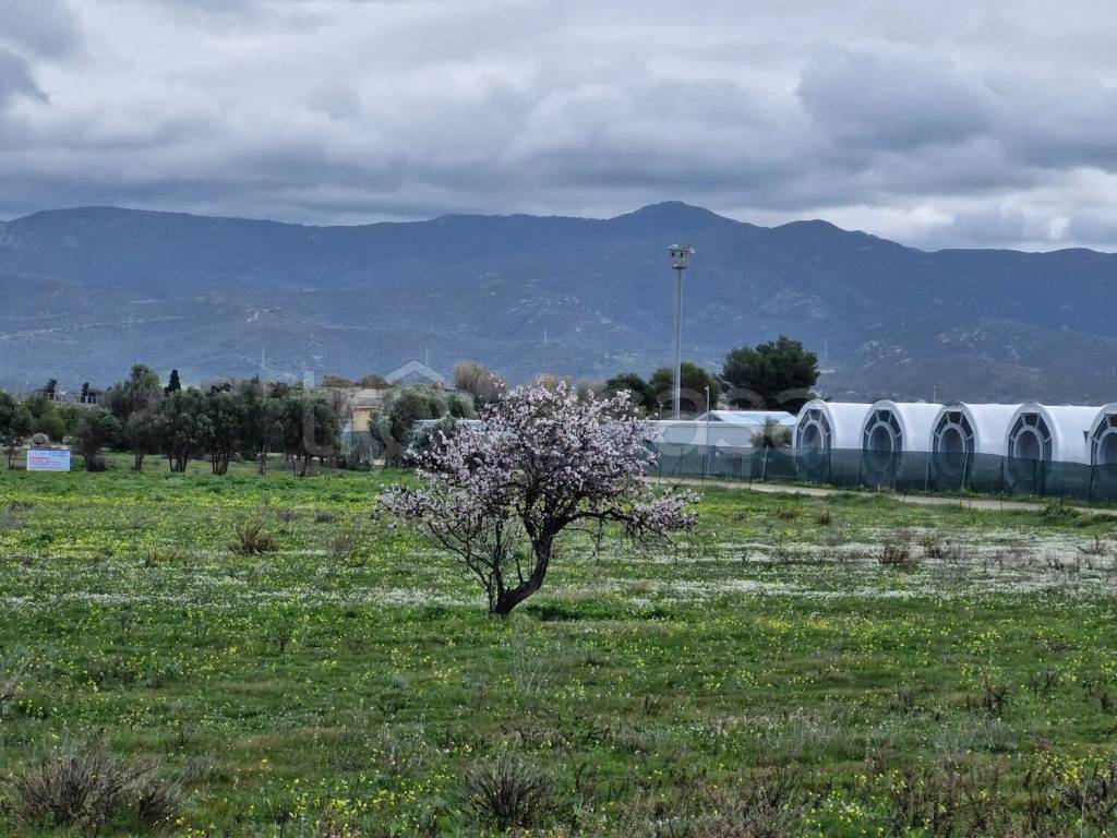 immagine annuncio 3 di 6