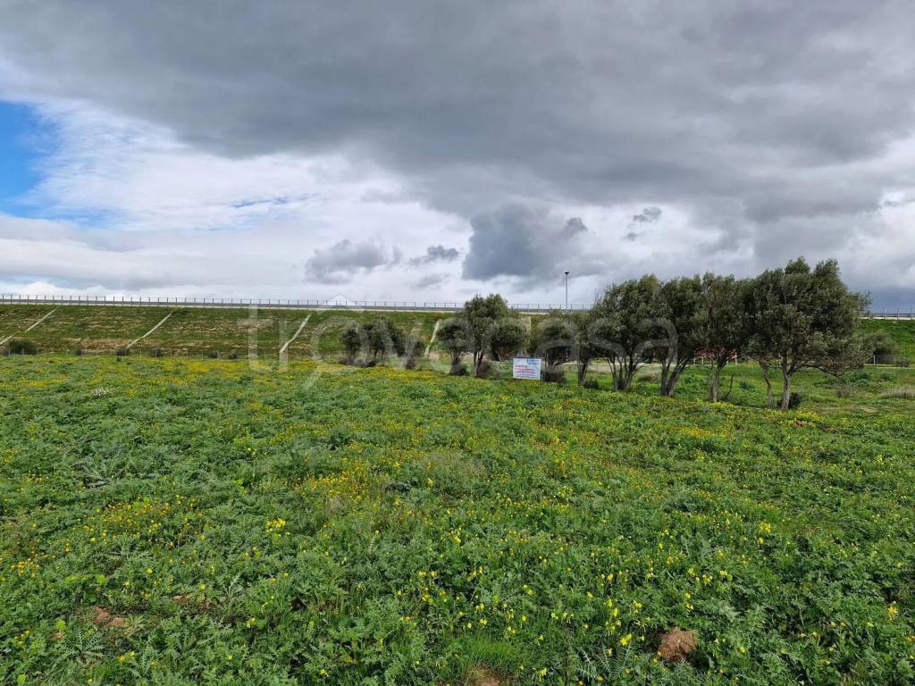 immagine annuncio 4 di 6