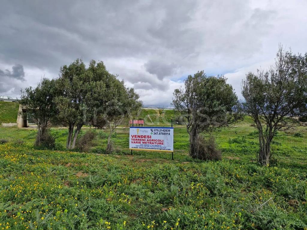 immagine annuncio 5 di 6