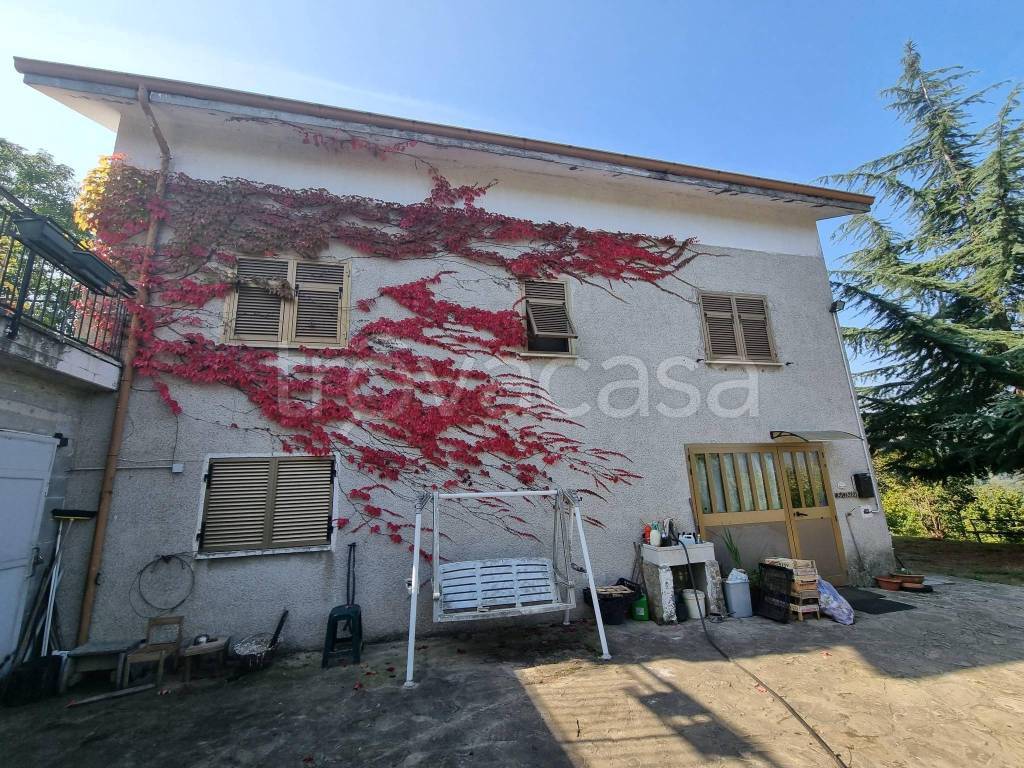 immagine annuncio 2 di 6