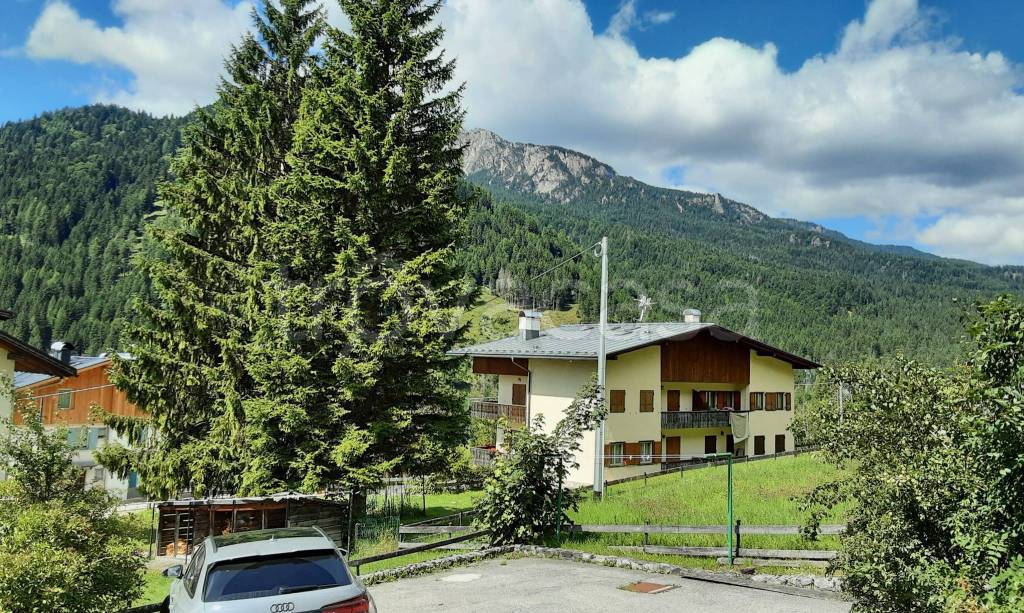 immagine annuncio 3 di 11