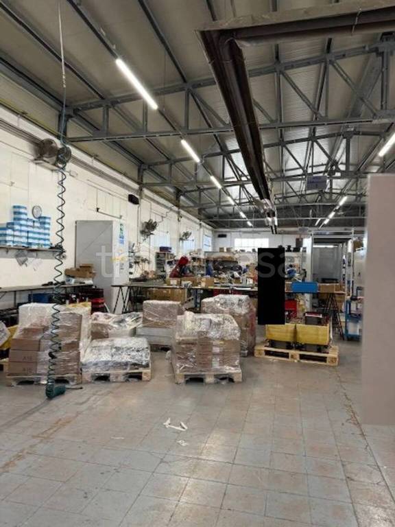 immagine annuncio 7 di 9