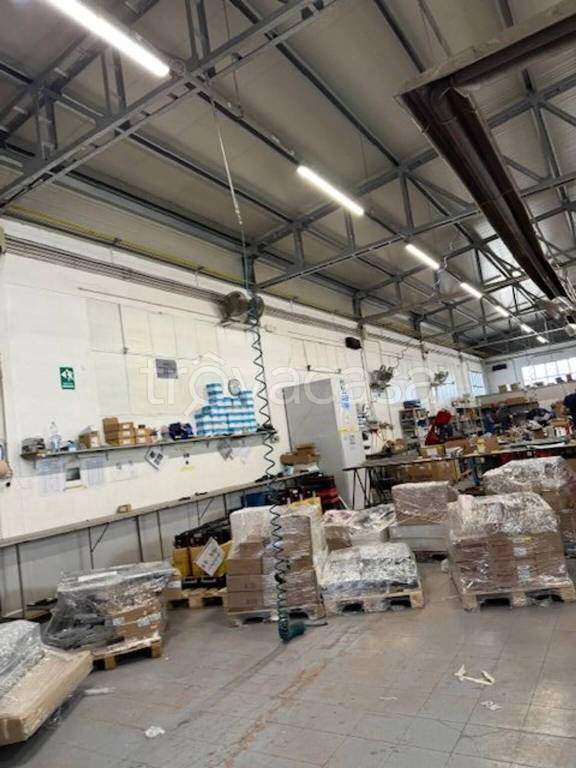 immagine annuncio 8 di 9