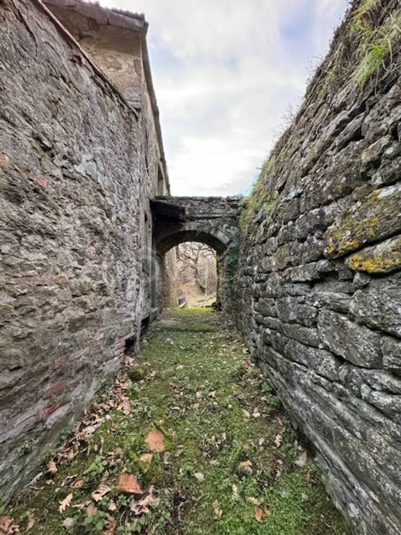 immagine annuncio 3 di 14