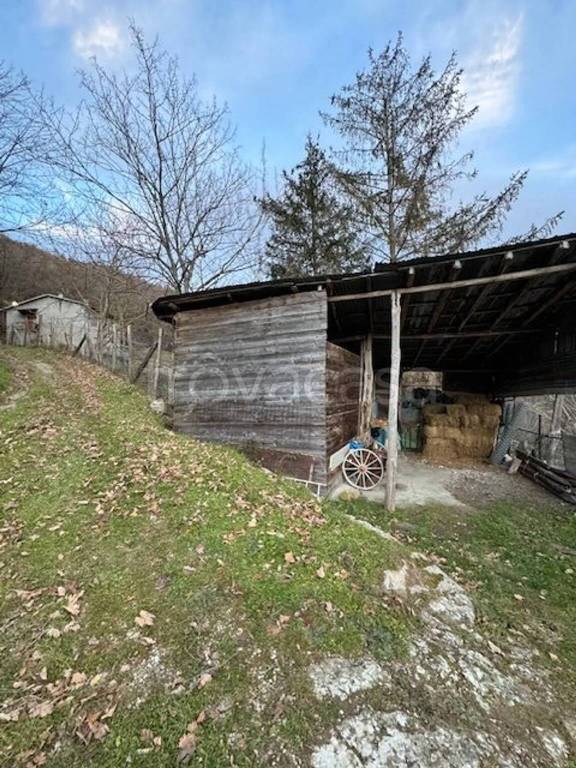 immagine annuncio 11 di 14