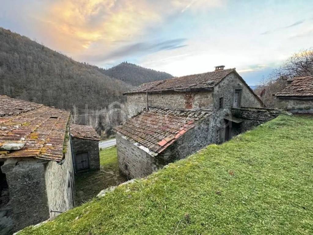 immagine annuncio 12 di 14