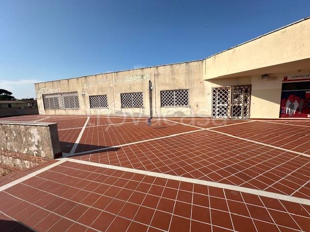 immagine annuncio 7 di 14