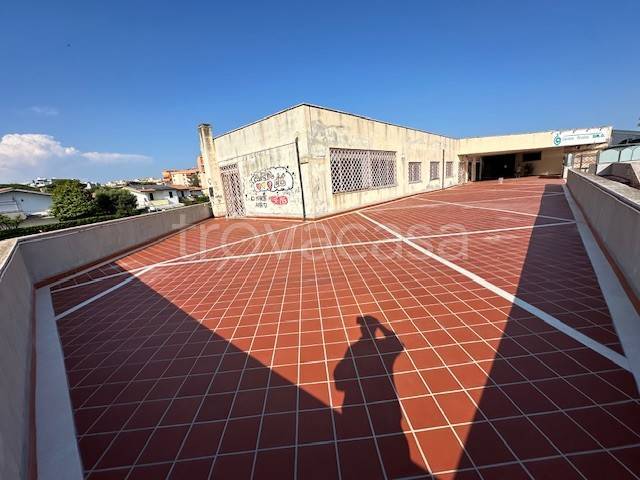 immagine annuncio 9 di 14