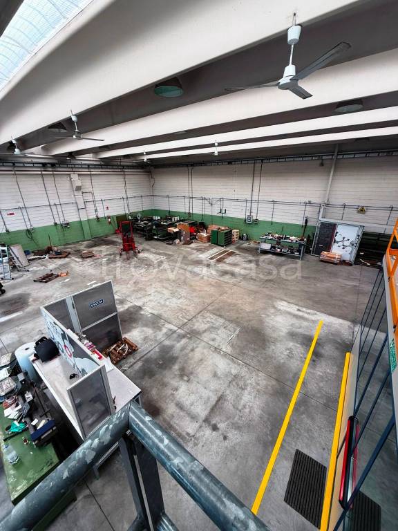 immagine annuncio 4 di 15