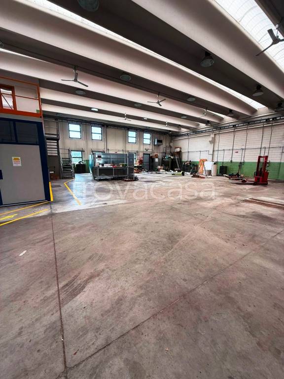 immagine annuncio 10 di 15