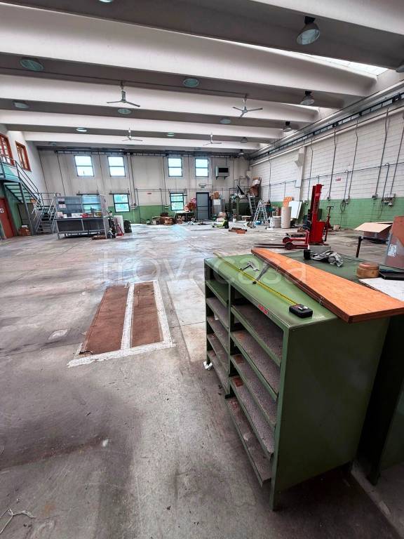 immagine annuncio 11 di 15