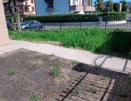 immagine annuncio 4 di 8