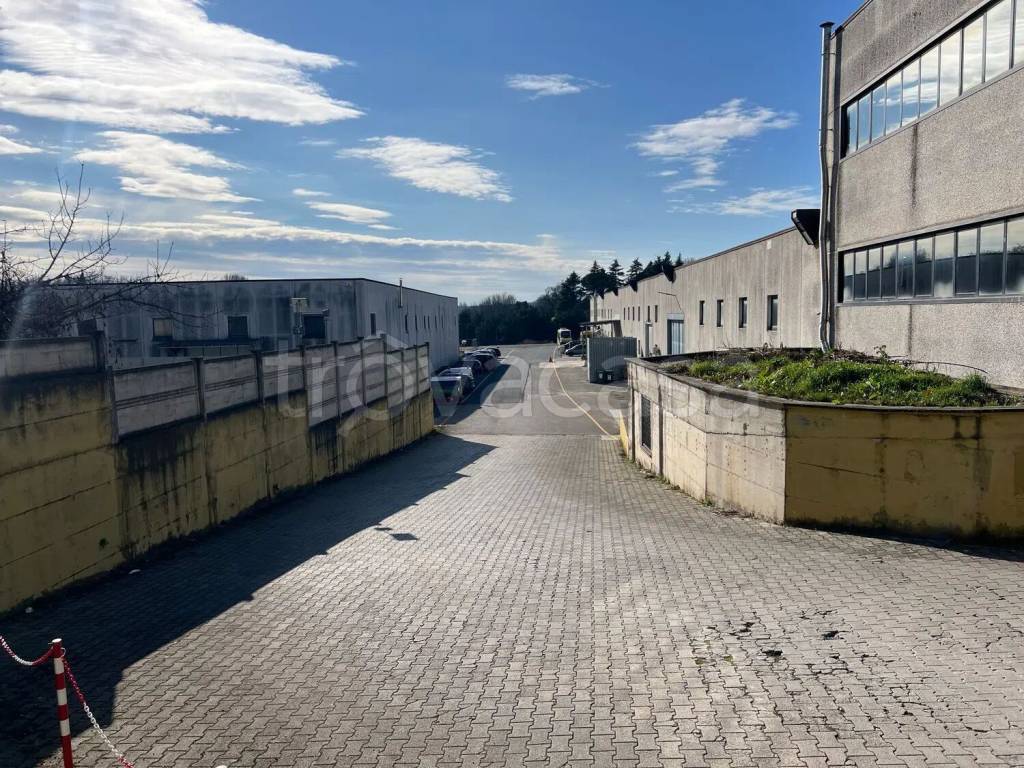 immagine annuncio 9 di 12