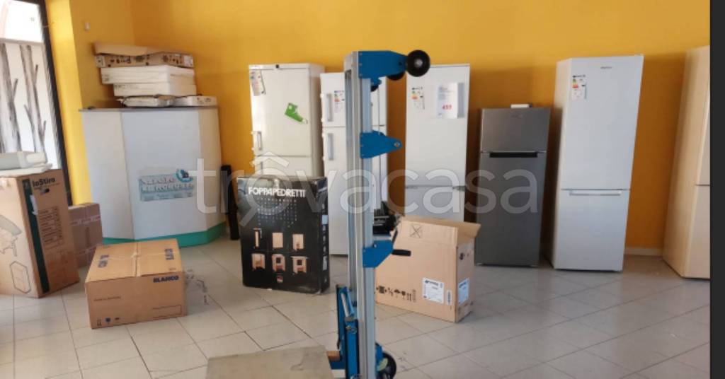 immagine annuncio 1 di 11