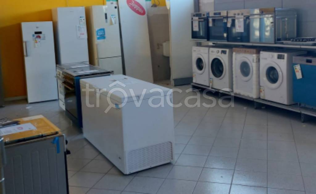 immagine annuncio 2 di 11