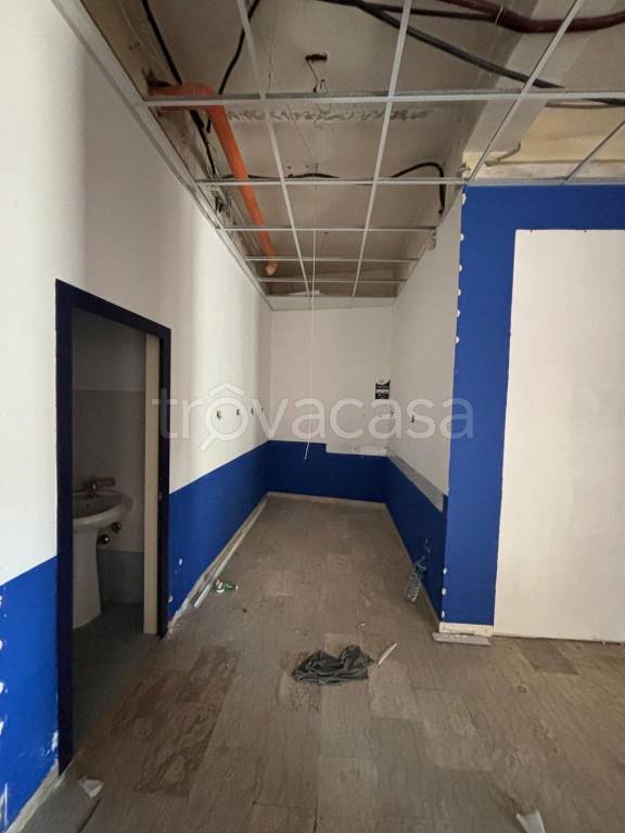 immagine annuncio 5 di 12