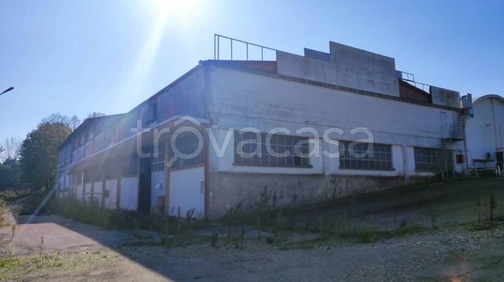 immagine annuncio 1 di 8