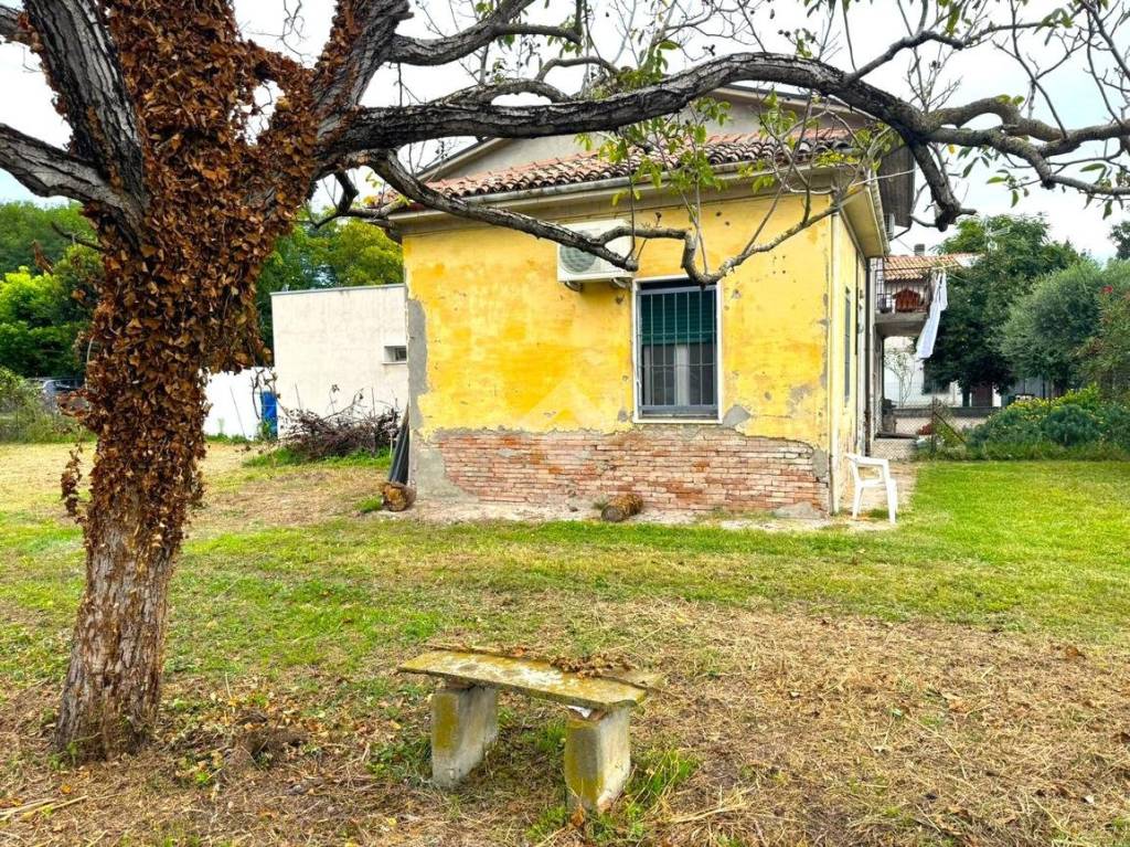 immagine annuncio 2 di 12