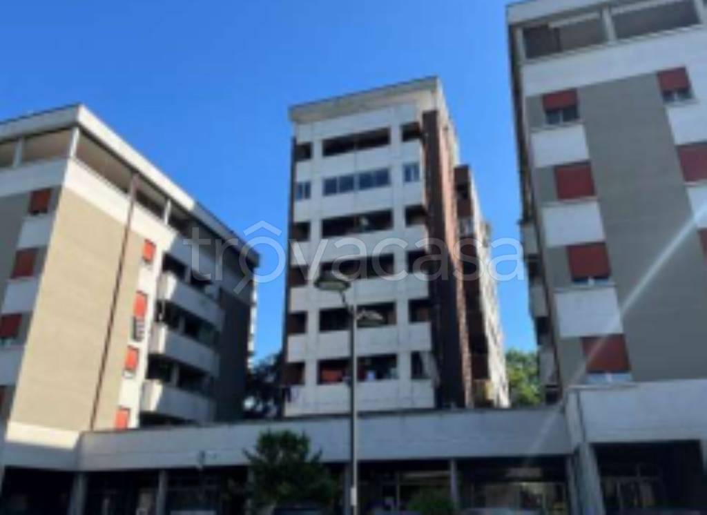 immagine annuncio 5 di 14