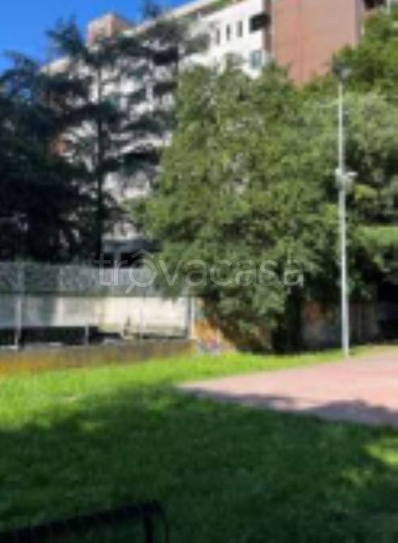 immagine annuncio 6 di 14