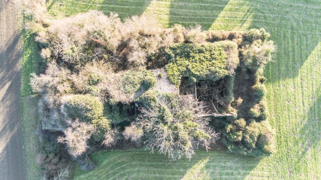 immagine annuncio 6 di 13