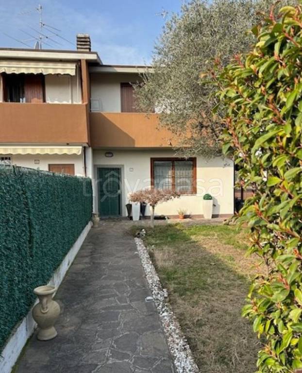 immagine annuncio 1 di 14