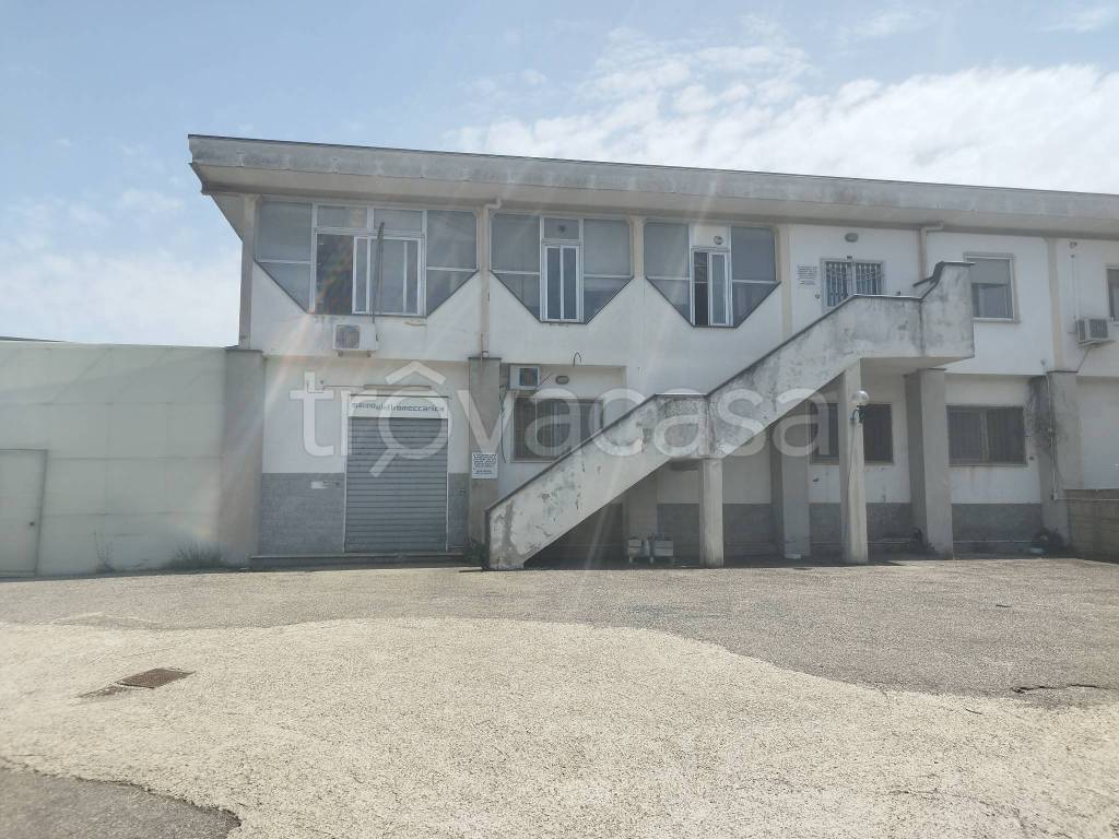 immagine annuncio 1 di 9